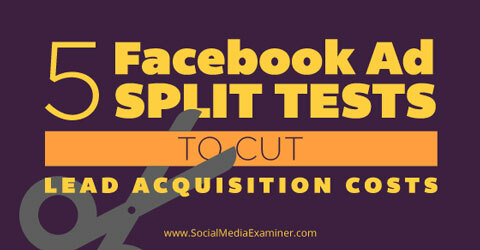fem facebook ad split tests