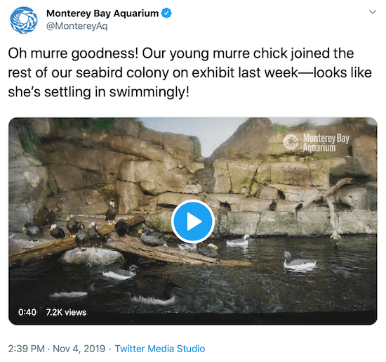 tweet fra Monterey Bay Aquarium som et eksempel på et brands sociale mediestemme