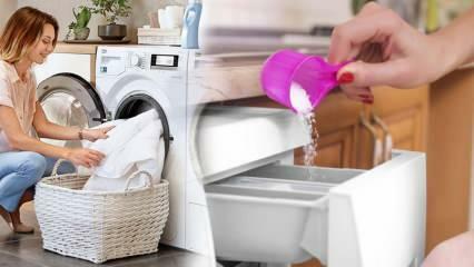 Hvad er det bedste vaskemiddel til hvide? De bedste anbefalinger til vaskemiddel! Det bedste pulvervaskemiddel