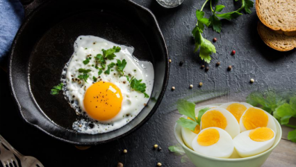 Kogt æg kost! Holder ægget dig mæt? 'Æg' diæt, der taber 12 kilo om ugen