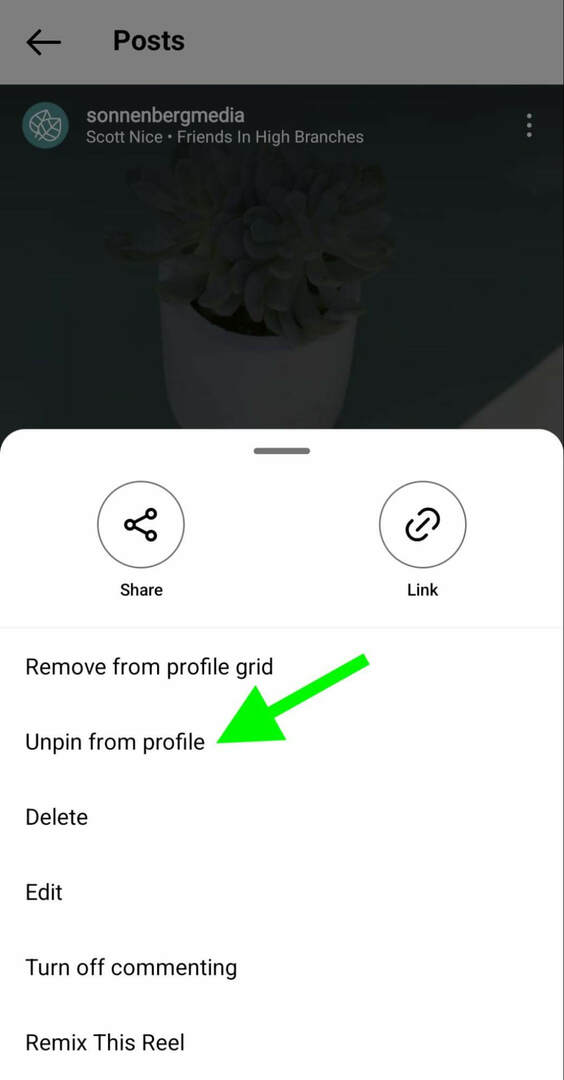 how-to-instagram-unpin-reels-profile-grid-sonnenbergmedia-trin-2