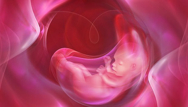 Hvad er Placenta Previa? Hvordan gør man navlestrengspleje hos babyer? Hvis navlestrengen er lang ...