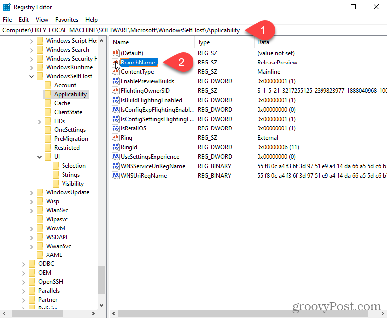 Dobbeltklik på BranchName-nøglen i Windows-registreringsdatabasen