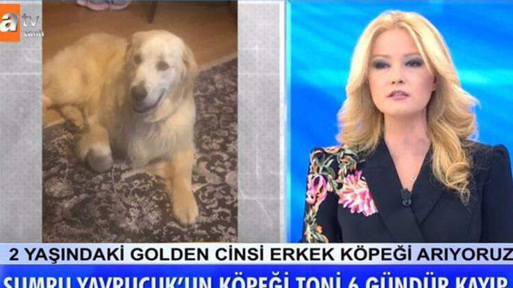 Præsent Müge Anlı annoncerede: skuespilleren Sumru Yavrucuk hund blev fundet ...