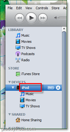 åbn iTunes og dobbeltklik på det aktuelle navn på din enhed