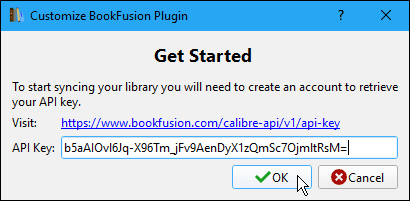 Indtast API-nøglen i dialogboksen Tilpas BookFusion-plugin i Caliber
