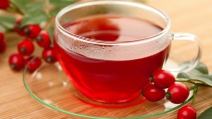 Hvad er fordelene ved rosehip? Hvordan man brygger rosehip te?