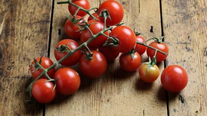 Hvordan forhindres tomatrot? Hvordan forhindres tomatmøl? 