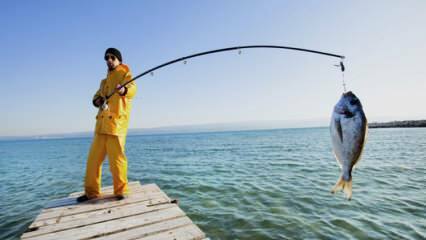 Hvordan fisker man? Hvad er trickene ved at fiske med fiskestang?