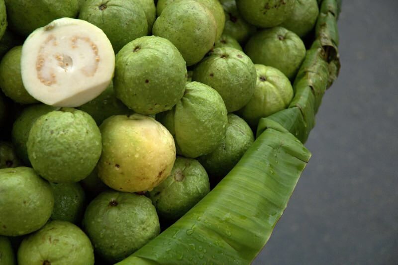umoden guavanfrugt 