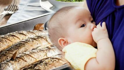 Kan fisk spises under amning?