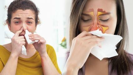 Hvad er godt for tilstoppet næse? En medicinfri løsning til tilstoppet næse!