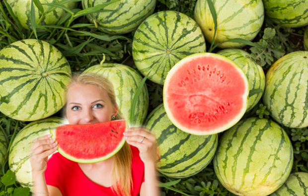 hvad er vandmelon diæt