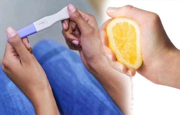 Hvordan laver man en graviditetstest med citron?