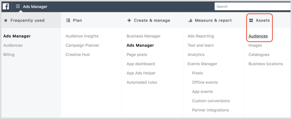 Facebook Ads Manager Audiences-dashboard