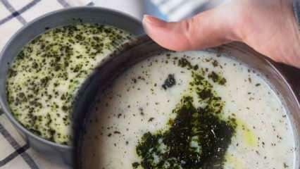 Hvordan laver man spinatsuppe med yoghurt? Yoghurt spinatsuppe opskrift, der vil overraske dine naboer