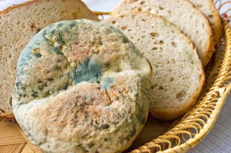 Måder at forhindre brød i at blive forældede og mugne