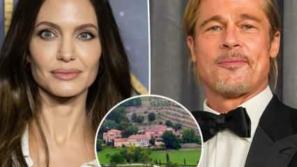 Brad Pitt Jolie i Miraval Castle-sagen, der blev til en slangehistorie