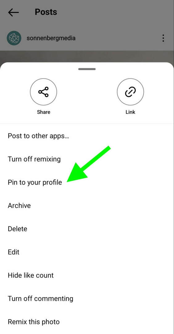 how-to-instagram-pin-posts-profile-grid-sonnenbergmedia-trin-1
