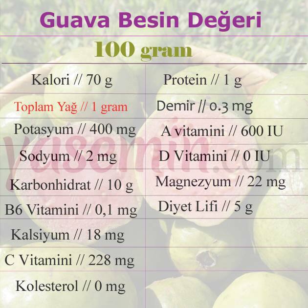 guava ernæringsværdi