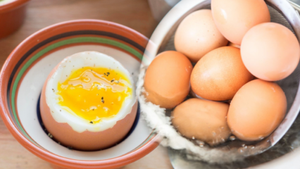 Hvad er fordelene ved et lavt kogt æg? Hvis du spiser to kogte æg om dagen ...