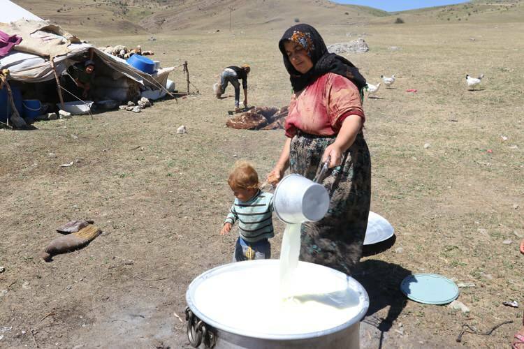Udfordrende "mælk" -rejse af nomadekvinder på æsler!