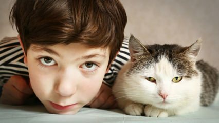 Hvad er virkningen af ​​kæledyr på børn?
