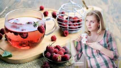 Te, der letter fødslen: Hindbær! Fordele ved hindbærte til gravide kvinder
