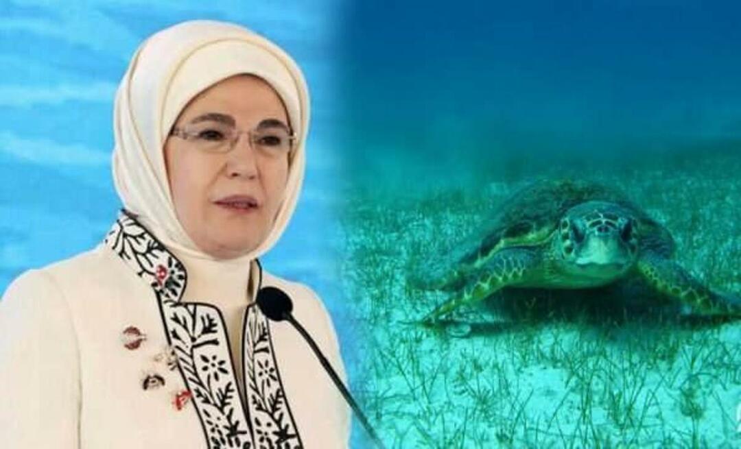 Deler "havskildpadde" fra Emine Erdoğan: "Så længe vi beskytter dem, vil de fortsætte med at leve"