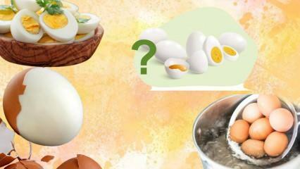 Kogt æg kost! Holder ægget dig mæt? 12 kilo på en uge 