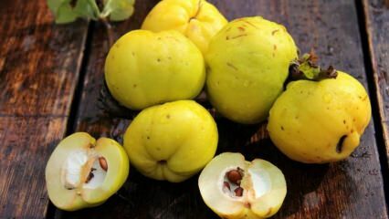 Hvad er fordelene ved kvede? Hvordan man laver quince leaf te, og hvad gør den?