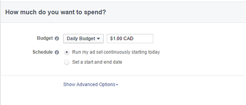 budgetmuligheder for facebook-annoncer