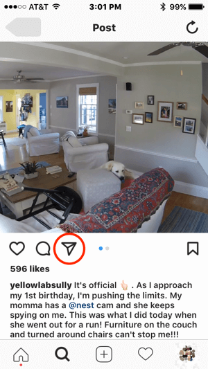 Hvis Nest ønskede at kontakte denne Instagram-bruger for at få tilladelse til at bruge deres indhold, kunne de starte kommunikation ved at trykke på ikonet for direkte besked.