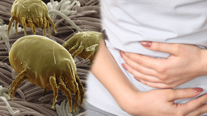 Hvor er den mest snavsede del af kroppen, og hvordan rengøres den? Hvad er sygdomme forårsaget af parasitter? 