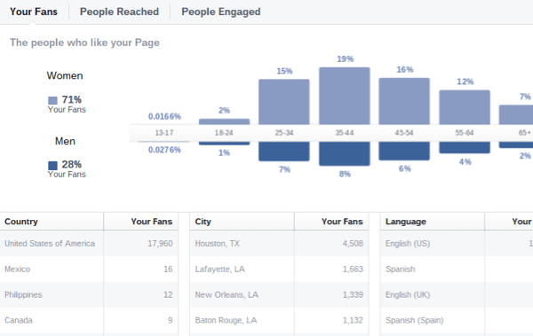 facebook indsigt publikums demografi