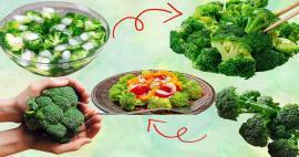Hvilken årstid og måned vokser broccoli? Hvornår skal man spise broccoli? 