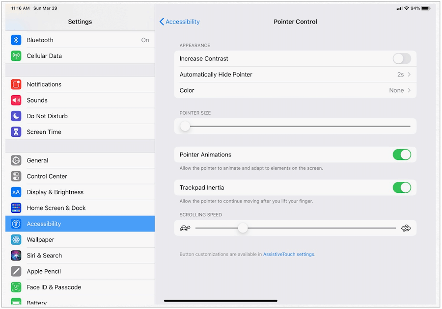 iPad Pointer Control