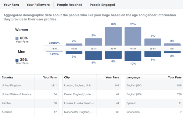 Facebook Insights publikums demografiske data.