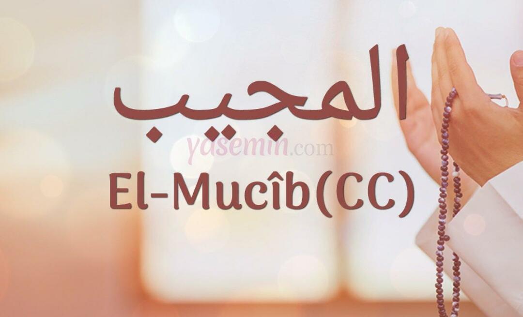 Hvad betyder al-Mujib (c.c)? Hvad er fordelene ved navnet Al-Mujib? Esmaul Husna Al-Mujib...