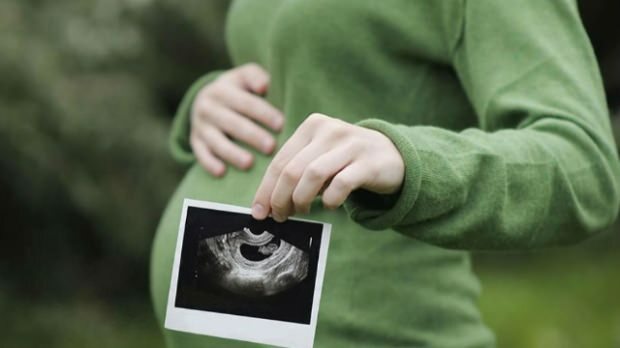 Hvilket organ udvikles først hos spædbørn? Babyudvikling uge efter uge