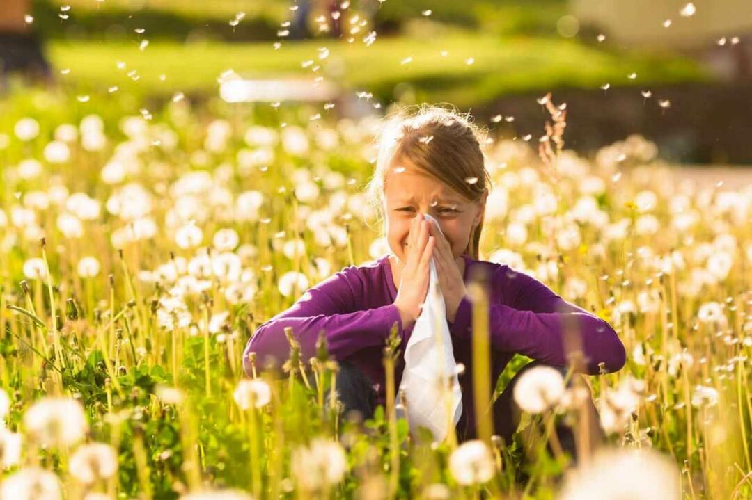 Hvad skal man overveje for at beskytte børn mod sæsonbestemte allergier