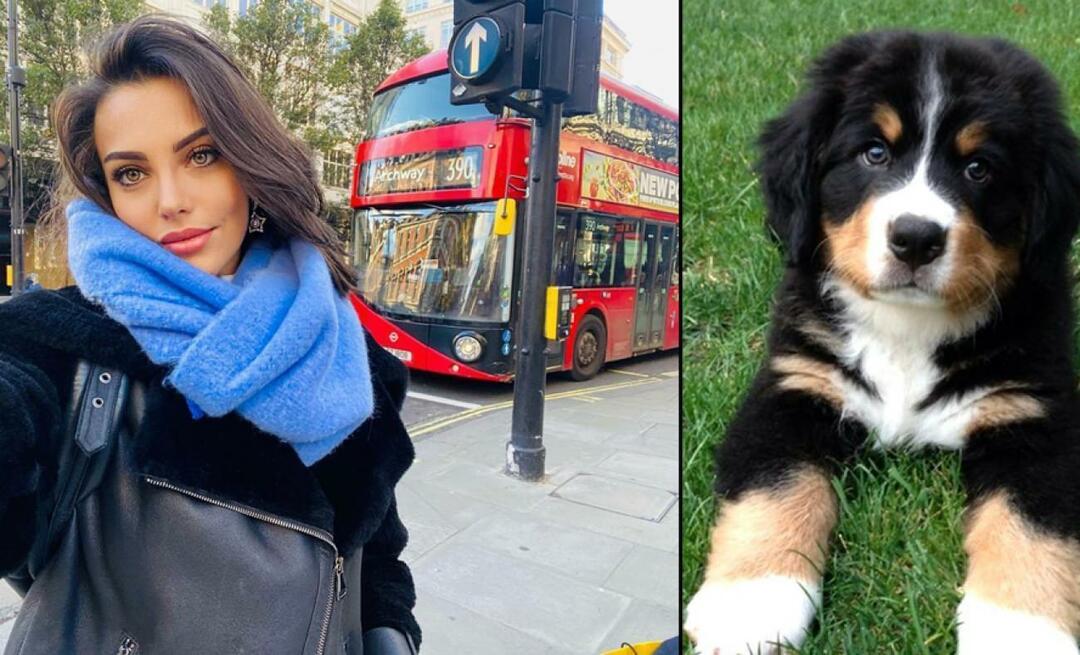 Skuespillerinden Tuvana Türkay gav sit liv for sin hund!