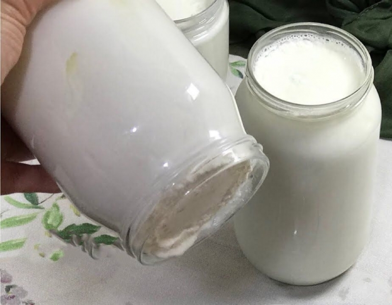 Hvad er den nemme måde at brygge yoghurt på? Hvordan laver man praktisk yoghurt derhjemme? Yoghurt som sten i krukken