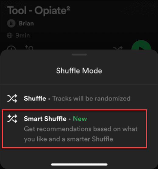 reparer Spotify Shuffle ikke blander
