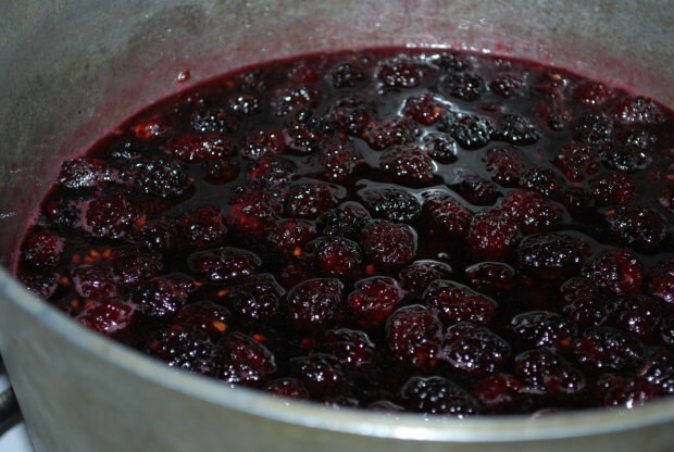 Hjemmelavet praktisk blackberry marmelade opskrift