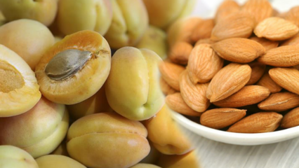 Hvad er fordelene ved abrikoser? Hvad sker der, hvis du spiser tørrede abrikoser? Hvad er abrikoskerner gode til?