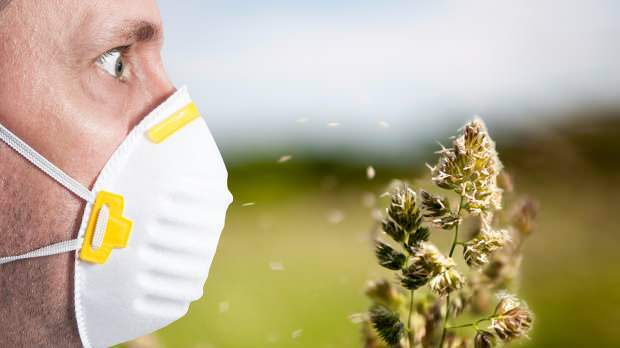 forårsallergi er forårsaget af pollen, kæledyr, øget temperatur og støv