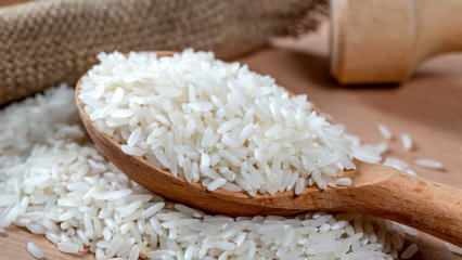 Bør ris opbevares i vand? Kan ris koges uden at holde risen i vand?