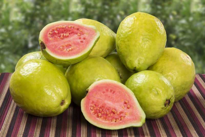 guavan frugt passerer som jordbær 