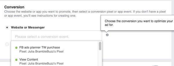 Når du opretter en annoncekampagne på webstedet, skal du vælge den pixel, der skal bruges til at spore konverteringer.